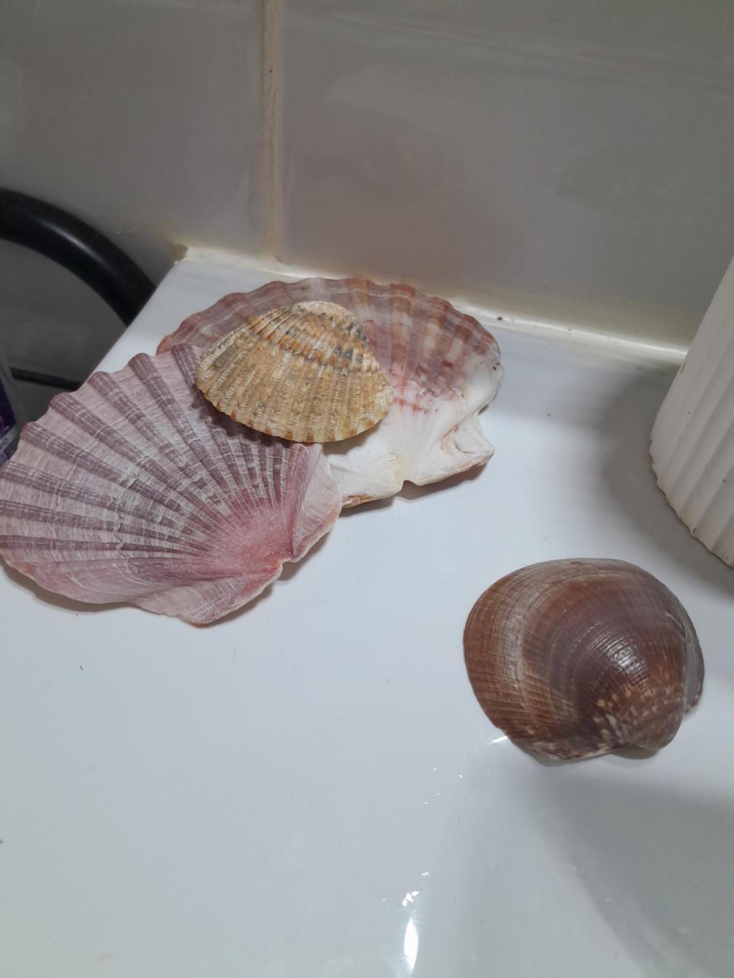 Gemuetliches Zimmer "Gold" Fuer 2 Personen Und Katzenliebhaber Valence Extérieur photo